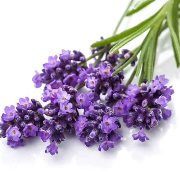 Lavender Shea Butter Moisturizing Soap Bar Sweet Body (2 … - Picture 5 of 8